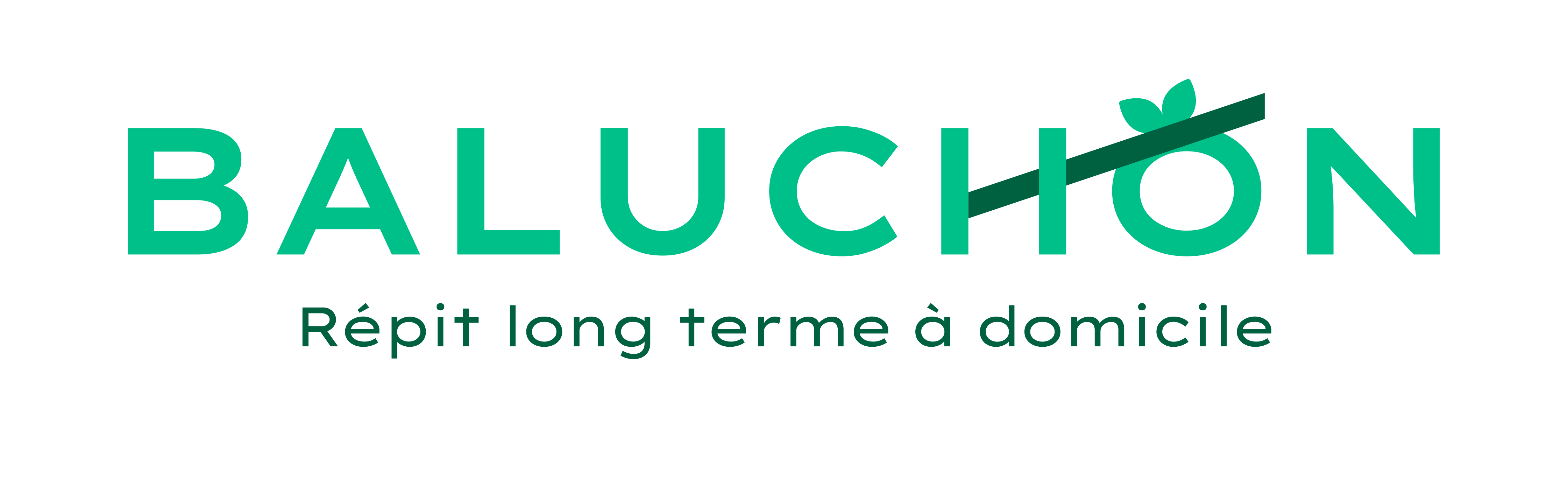 Le r le des intervenants du r seau baluchon alzheimer explications